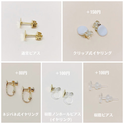 sale‼︎秋めく「儚色」ピアス/イヤリング/樹脂ピアス/樹脂ノンホールピアス 4枚目の画像