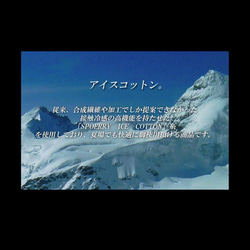 ☆新作*夏用マスク☆子供用サイズサラサラひんやり接触冷感❄️アイスコットンマスク☆フィルターポケット付き☆ 5枚目の画像