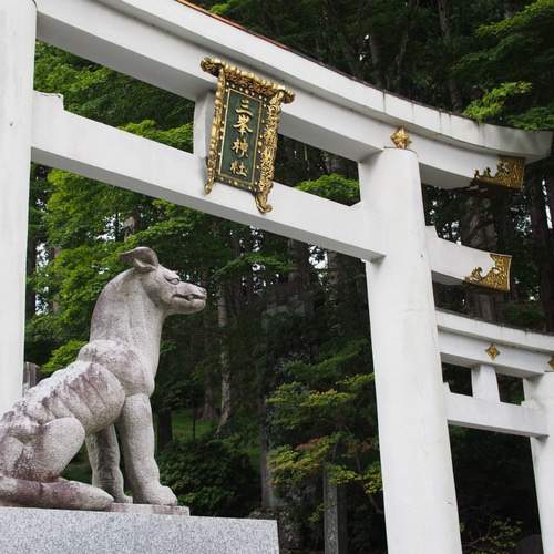 闘病のお守り☆病に打ち勝つ！ ヒーリングストーン 健康回復・精神疲労