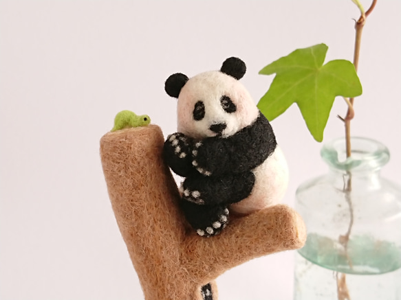 木登り 子パンダ ｰお昼寝中ｰ 6枚目の画像