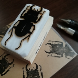 消しゴムはんこ【昆虫】ミツバチ はんこ・スタンプ diorama 通販