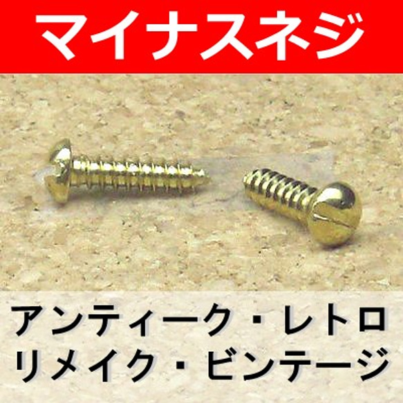 マイナスネジ 3 X 12 真ちゅう 丸頭タッピング 10本 その他素材 aoao 