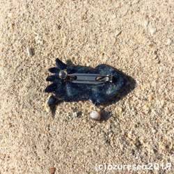 ★訳ありお値引き★Shippou Brooch Squid/ 七宝焼きブローチ イカ 3枚目の画像