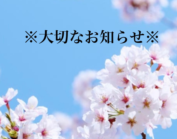 ※ご購入前にご一読ください※ 1枚目の画像