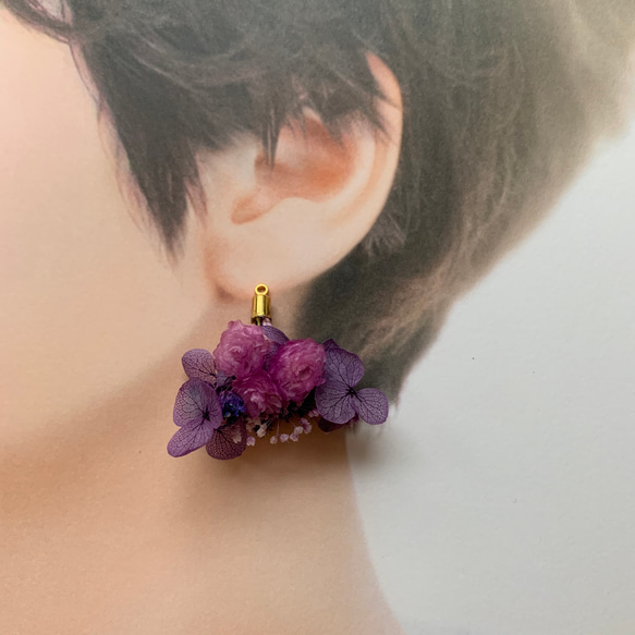 ドライフラワー ピアス・イヤリング パープル ピンク 紫陽花 あじさい 