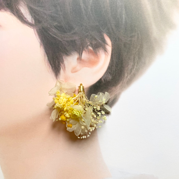 イエロー×ホワイト×あじさい】（M）ドライフラワー ピアス・イヤリング