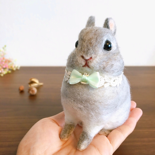 ネザーランドドワーフ うさぎ 羊毛フェルト 人形 羊毛フェルト cotta