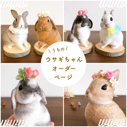 うさぎ オーダー 人形 愛兎 羊毛フェルト その他人形 cotta 通販