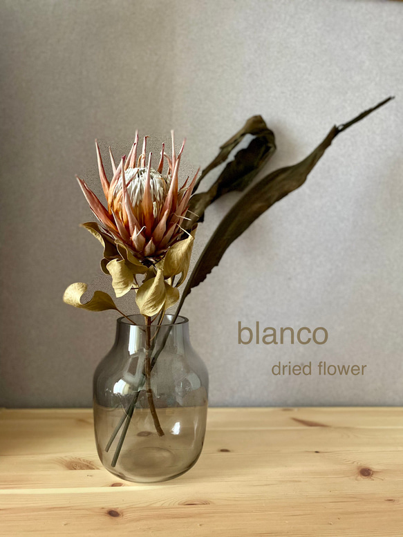 キングプロテアとストレリチアリーフのドライフラワーセット ドライ