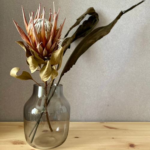 キングプロテアとストレリチアリーフのドライフラワーセット ドライ