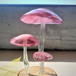 ガラスのキノコ　置物　オブジェ　紫ピンク3本 4枚目の画像