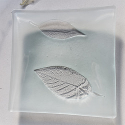 ガラスの器　葉脈　15角 2枚目の画像