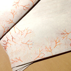 枝とヒヨドリのレターセット 4枚目の画像