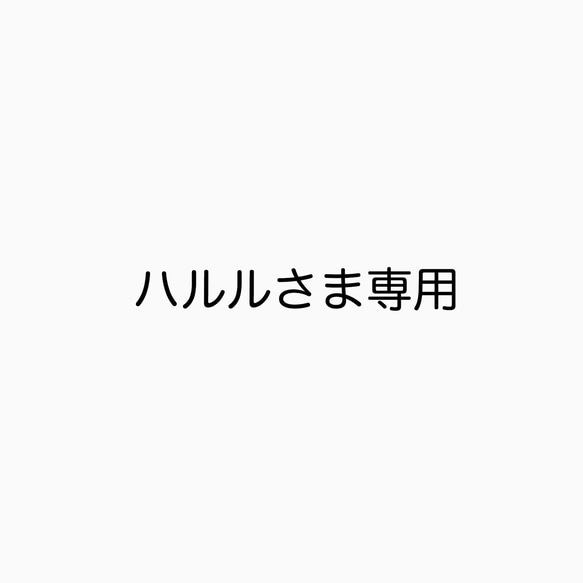 ハルルさま専用 1枚目の画像