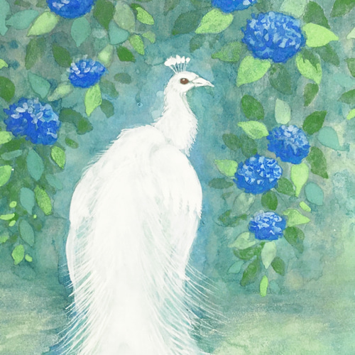 絵画 『色うつる空』 アクリル画 白孔雀 空 絵画 『色うつる空