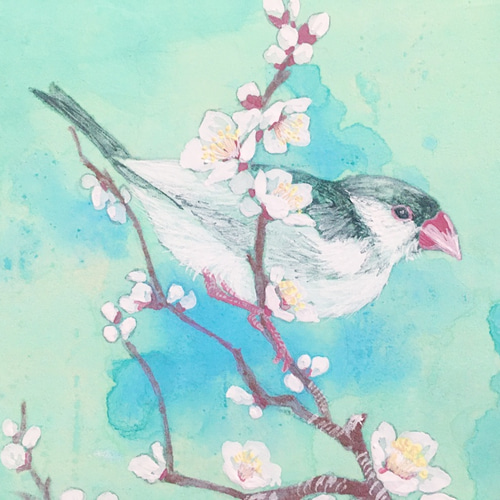 水彩画「牛尾神社と梅」スケッチ　うめ　梅の花　絵画　アート アジアの梅の花の水彩画の写真素材・画像素材 Image 19426835