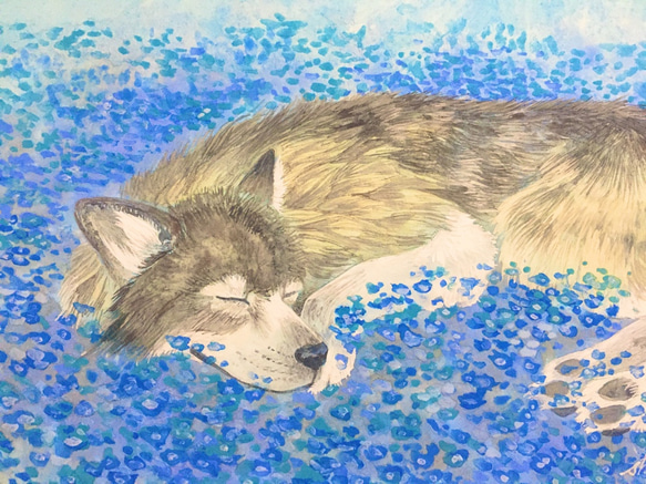 オオカミの絵 保障できる】 Amazon.co.jp: ZXHYWYM 青い目のオオカミ ウォール