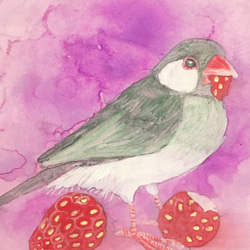 ミニ日本画　イチゴ文鳥（ノーマル文鳥）　鳥の絵画 3枚目の画像