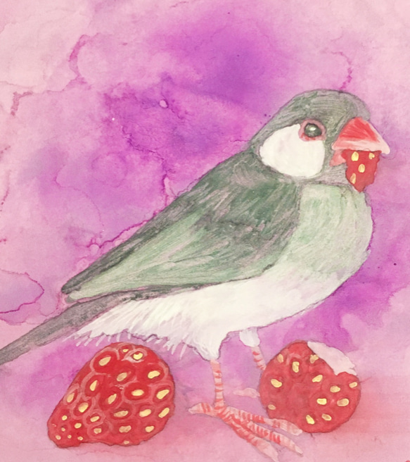 ミニ日本画　イチゴ文鳥（ノーマル文鳥）　鳥の絵画 3枚目の画像