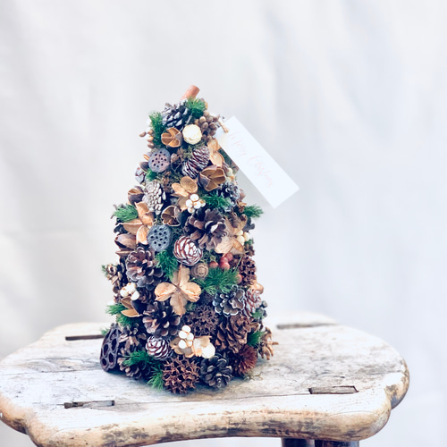 木の実のクリスマスツリー tall ドライフラワー sou-moku 通販
