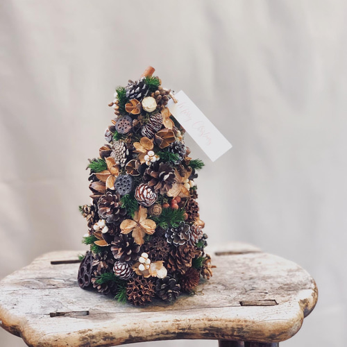 木の実のクリスマスツリー tall ドライフラワー sou-moku 通販
