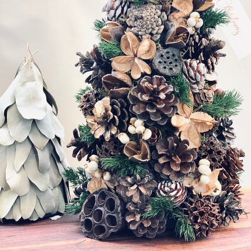 木の実のクリスマスツリー tall ドライフラワー sou-moku 通販