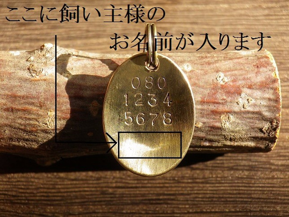 楕円キラキラの迷子札　（真鍮） 3枚目の画像