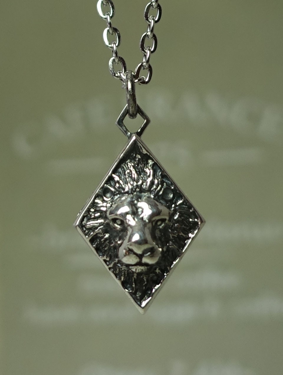 ライオンとアフリカの大地