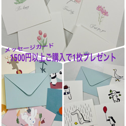 季節限定　虹色のカケラ琥珀糖　２色の金魚いり 3枚目の画像