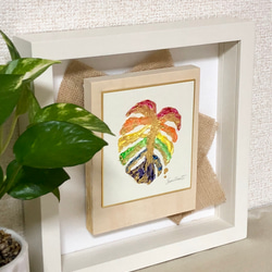 心踊るHappy Rainbow Monstera 2枚目の画像