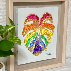 心踊るHappy Rainbow Monstera 2枚目の画像