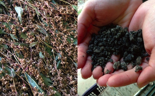 【受注製作】本藍染め麻風呂敷（山路登）