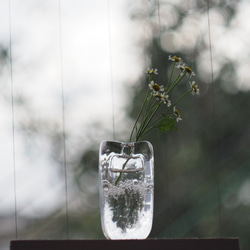 [進貨] 玻璃花瓶花瓶 第3張的照片