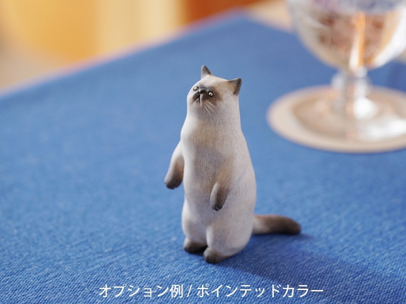 您可以使用“Exotic Shorthair, Standing”選項為它塗上任何您喜歡的圖案。 第4張的照片