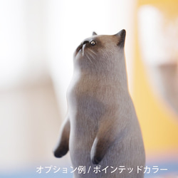 您可以使用“Exotic Shorthair, Standing”選項為它塗上任何您喜歡的圖案。 第5張的照片