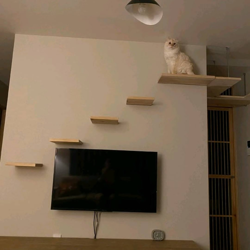 キャットウォーク 小 おもちゃ・ペット小物 錆猫 通販 8273296｜Creema