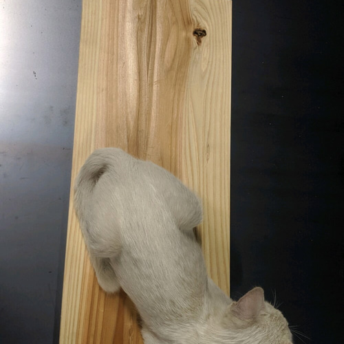 キャットウォーク 小 おもちゃ・ペット小物 錆猫 通販 8273296｜Creema