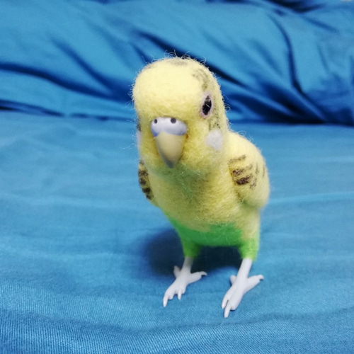 羊毛フェルト セキセイインコ ハルクインイエロー 羊毛フェルト とり 