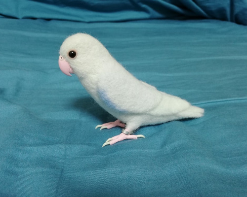 0_773eefa4ac2f1292973e3635f49a