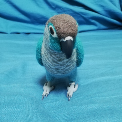 羊毛フェルト ホオミドリアカオウロコインコ ブルー 羊毛フェルト とり