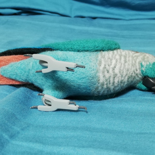 羊毛フェルト ホオミドリアカオウロコインコ ブルー 羊毛