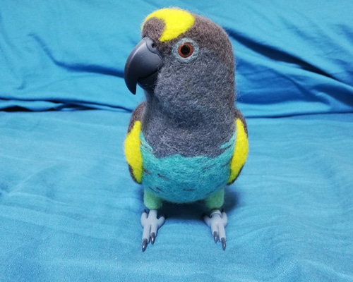 0_ab202c35defedd08c2326f6bb5c8