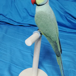 羊毛フェルト ブルーボタンインコ 羊毛フェルト とりもの 通販 羊毛フェルト ブルーボタンインコ 羊毛フェルト とりもの 通販