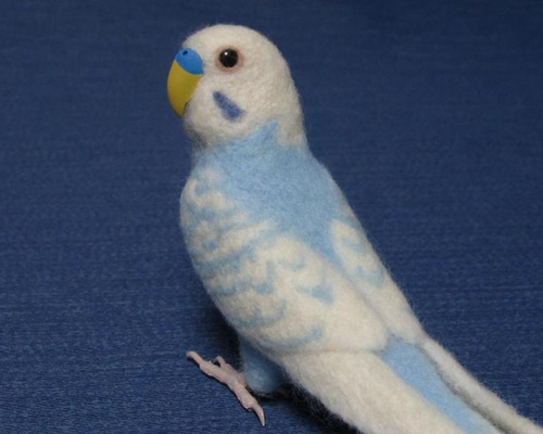 羊毛フェルト】セキセイインコ 欲しけれ ブルー メス♦︎鳥♦︎