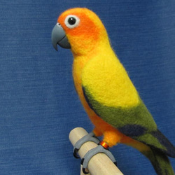 羊毛フェルト ブルーボタンインコ 羊毛フェルト とりもの 通販