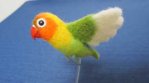 専用ページ　羊毛フェルト　傘でお出かけボタンインコ　鳥 専用ページ 羊毛フェルト 傘でお出かけボタンインコ 鳥
