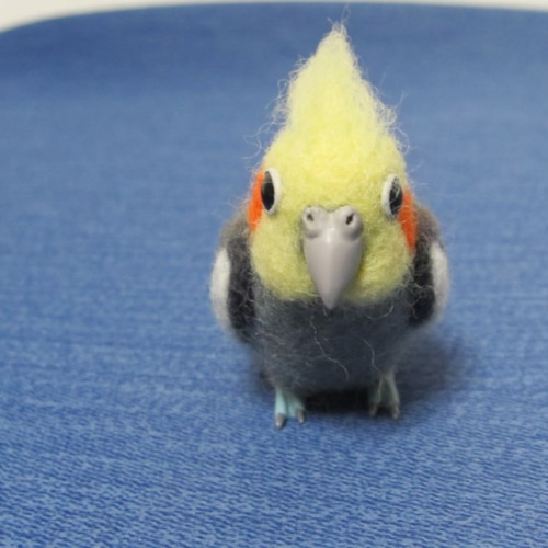 羊毛フェルト オカメインコ ノーマル 羊毛フェルト とりもの