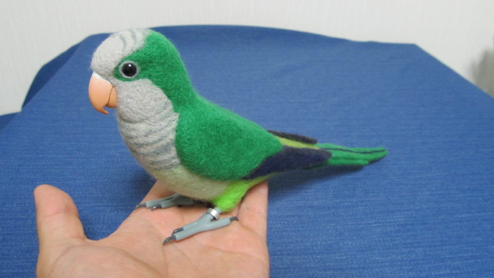羊毛フェルト 実物大 オキナインコ 羊毛フェルト とりもの 通販