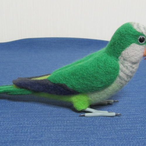 羊毛フェルト 実物大 オキナインコ 羊毛フェルト とりもの 通販