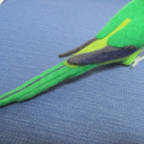 羊毛フェルト☆インコ達の飾り棚☆6羽 - 羊毛フェルト